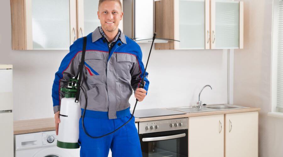 Professional pest control services in Vancouver